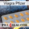 Pfizer Viagra 44